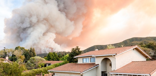 Wildfire Season